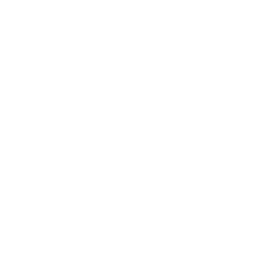 Assessment Services Icon
